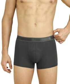 Texello Men's Underwear are Antibacterial Comfortable Seamless and Breathable Nylon Trunk and Brief Pack of 1