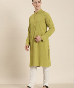 Men Ethnic Motifs Embroidered Chikankari Kurta